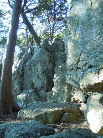 パワースポット天白磐座遺跡タテ